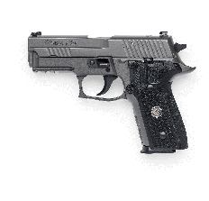 Sig P229 - Sig SauerP229 LEGION 9MM 3.9" barrel w/ night sights Gray 10rd 